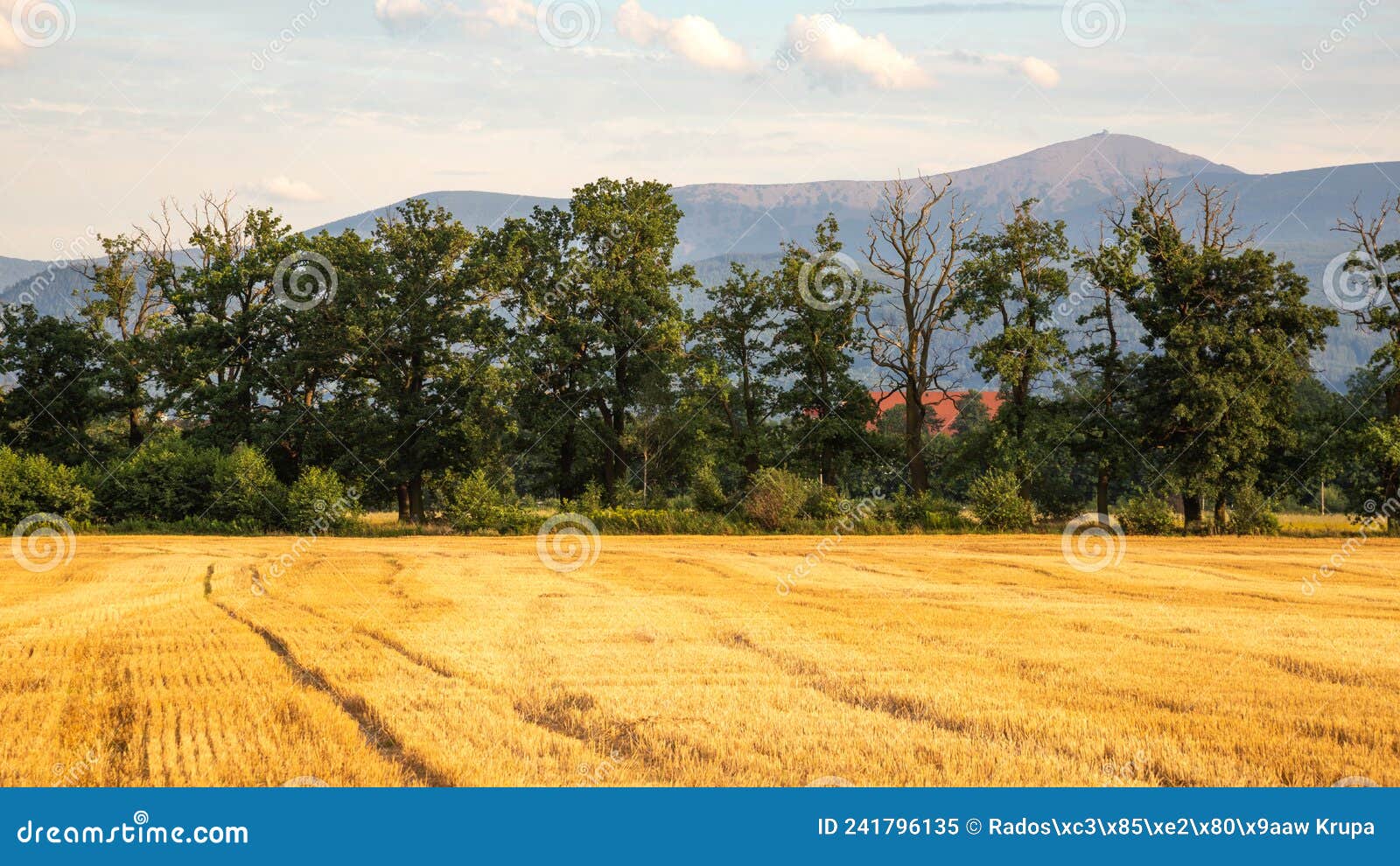 summer, idyllic view of the orle estate in cieplice ÃÅ¡lÃâ¦skie
